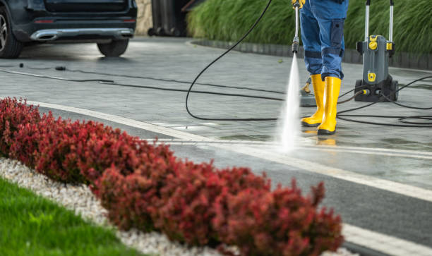 Best Roof Washing  in Mountain Home, ID